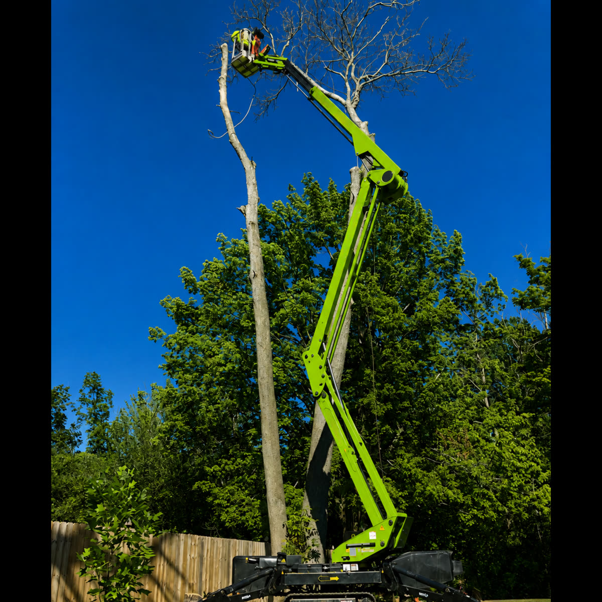 High Point Tree Service Pros project 13